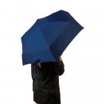 Женский зонт Fulton Soho-1 L793 Navy (Синий)