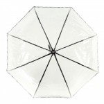 Женский зонт Fulton Birdcage-2 Luxe L866 Photo Rose (Розы)